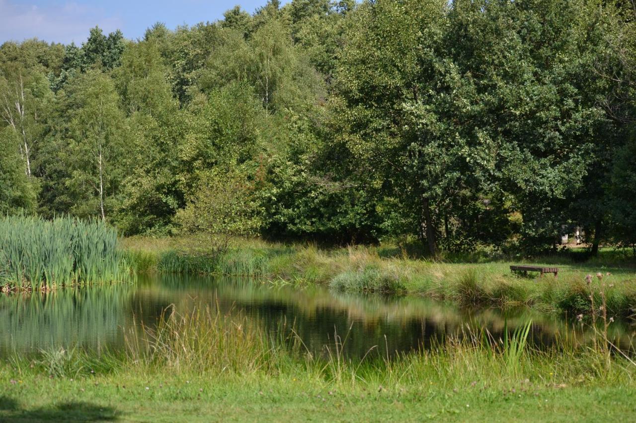 فندق Ferienparadies Muehlenbach سولتو المظهر الخارجي الصورة